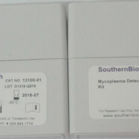 支原体PCR检测试剂盒 Mycoplasma detecti