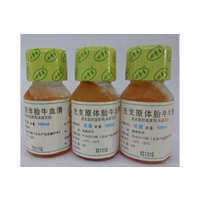 四季青优级胎牛血清(无支原体)100ml