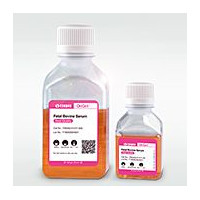 OriCell®标准级胎牛血清-南美乌拉圭