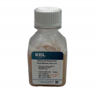 Exosome Depleted Fetal Bovine