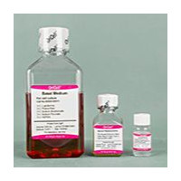 OriCell® 小鼠胚胎干细胞无血清培养基Ⅰ型（有饲养层）