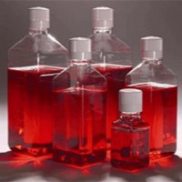 JAR  细胞专用培养基