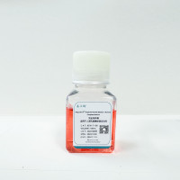 嘉必利®人源乳腺癌类器官培养基(仅供科研使用）