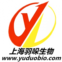 大鼠神经胶质瘤细胞