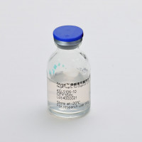 Keygel 类器官用基质胶，不含酚红，不含LDEV