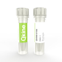 Qkine细胞因子 重组人DKK-1蛋白
