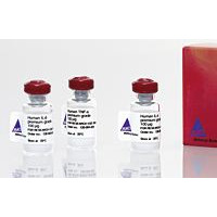 MACS® GMP Recombinant Human GM