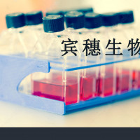 MONOMAC6细胞；急性单核细胞白血病细胞