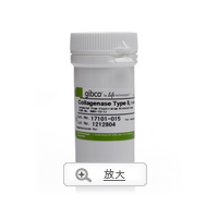 ＩＩ型胶原酶，粉末状