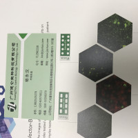 SIFIN鲍特氏菌诊断血清(凝集法)