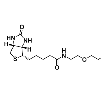 Biotin-PEG4-maleimide / Biotin