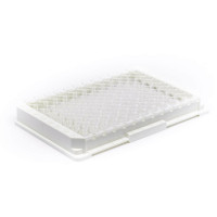 Strep-Tactin®XT coated micropl