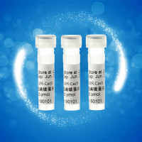 cas9 Nuclease基因敲除编辑检测定点突变蛋白