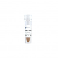 Protein A/G Magnetic Beads（PB1