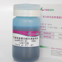 Bradford 蛋白质定量试剂盒 (PA102)