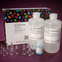 23227 Thermo Pierce BCA 蛋白定量试剂
