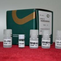 GoldMag®-CS纳米磁珠抗体偶联试剂盒(50nm）