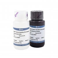 Ublot™ Femto-Sensitive ECL 化学发
