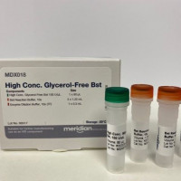 高浓度可冻干Bst DNA 聚合酶 (100 U/uL) M