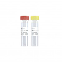 Lipomaster 3000 Transfection R