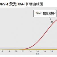 猫疱疹病毒核酸