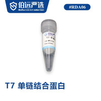 T7单链结合蛋白