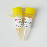 2×Taq PCR MasterMix (含染料）