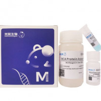 BCA蛋白含量检测试剂盒