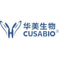 Cusa Pfu DNA Polymerase