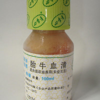 胎牛血清