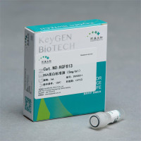 BSA蛋白标准液(5mg/ml）