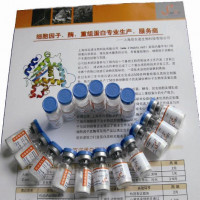重组人半乳凝集素8
