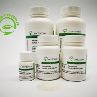 植物源重组人血清白蛋白（临床级别）