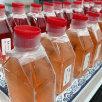 GUSB敲除细胞HOK1