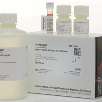 Qubit™ dsDNA HS Assay Kit-Q328