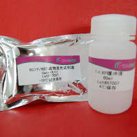 可溶型单组分TMB底物溶液 (PA107)