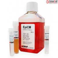 ScienCell上皮细胞培养基EpiCM（货号4101）