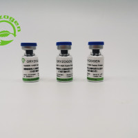 植物源重组人表皮生长因子（白蛋白融合型）OsrhEGF-HS