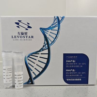 mRNA-IL23