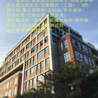 肠道菌大肠杆菌O26免疫层析检测试剂盒