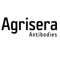 Agrisera BCIP/NBT Plus ALP Sub