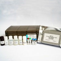 TrypLUS 消化液 ELISA 检测试剂盒