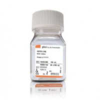 HEPES (1 M)