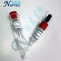 耐碱蛋白A琼脂糖凝胶FF（rat-PA NUPharose