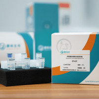 Anti-MYC Nanobody IP kit (Maga