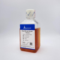 类胎牛血清Fetal Bovine Serum （Simil