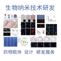 生物纳米技术研发 纳米药物载体科研服务 纳米载体