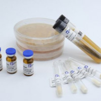 类肠膜魏斯菌