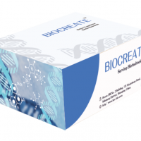 BIOCREATE ™ Protein A 磁珠