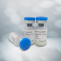 Recombinant Human B4GALT1/His